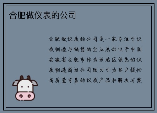 合肥做仪表的公司